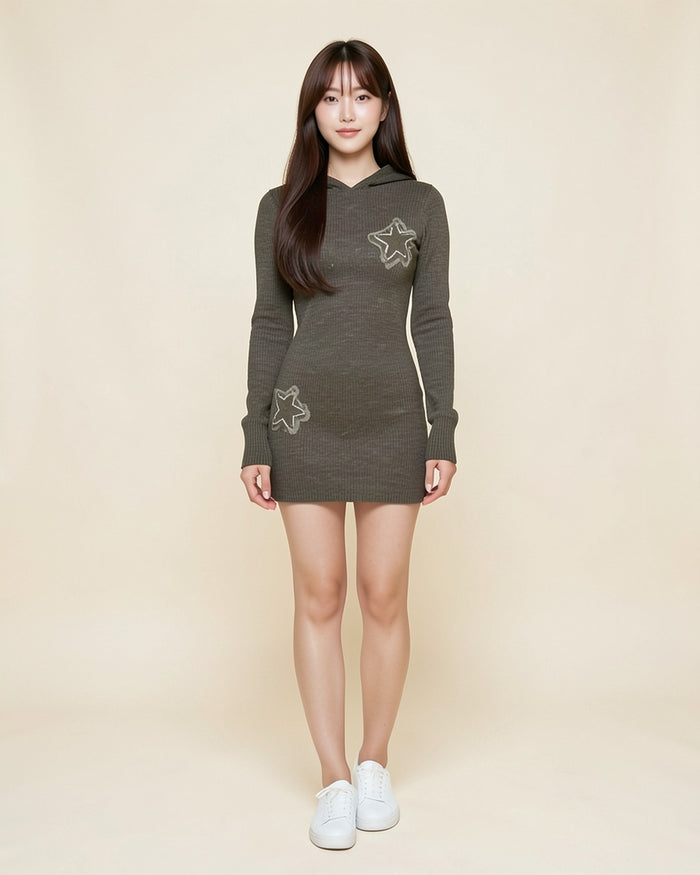 Fitted Knit Hoodie Mini Dress